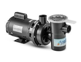 Motobomba Autoescorvante NBF